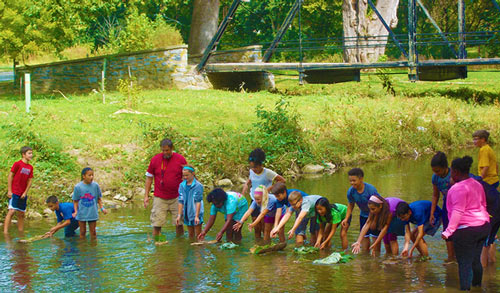 LMMS experiential learning